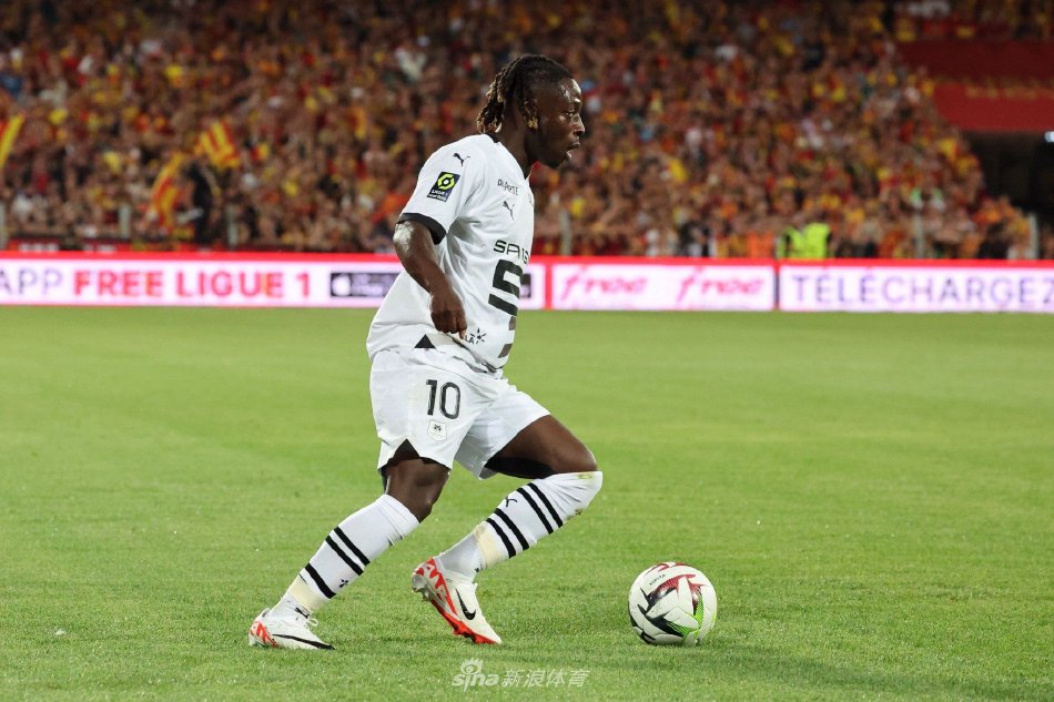 是什么导致 是什么导致