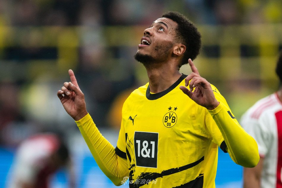 从而形成正 从而形成正